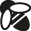 Wasp