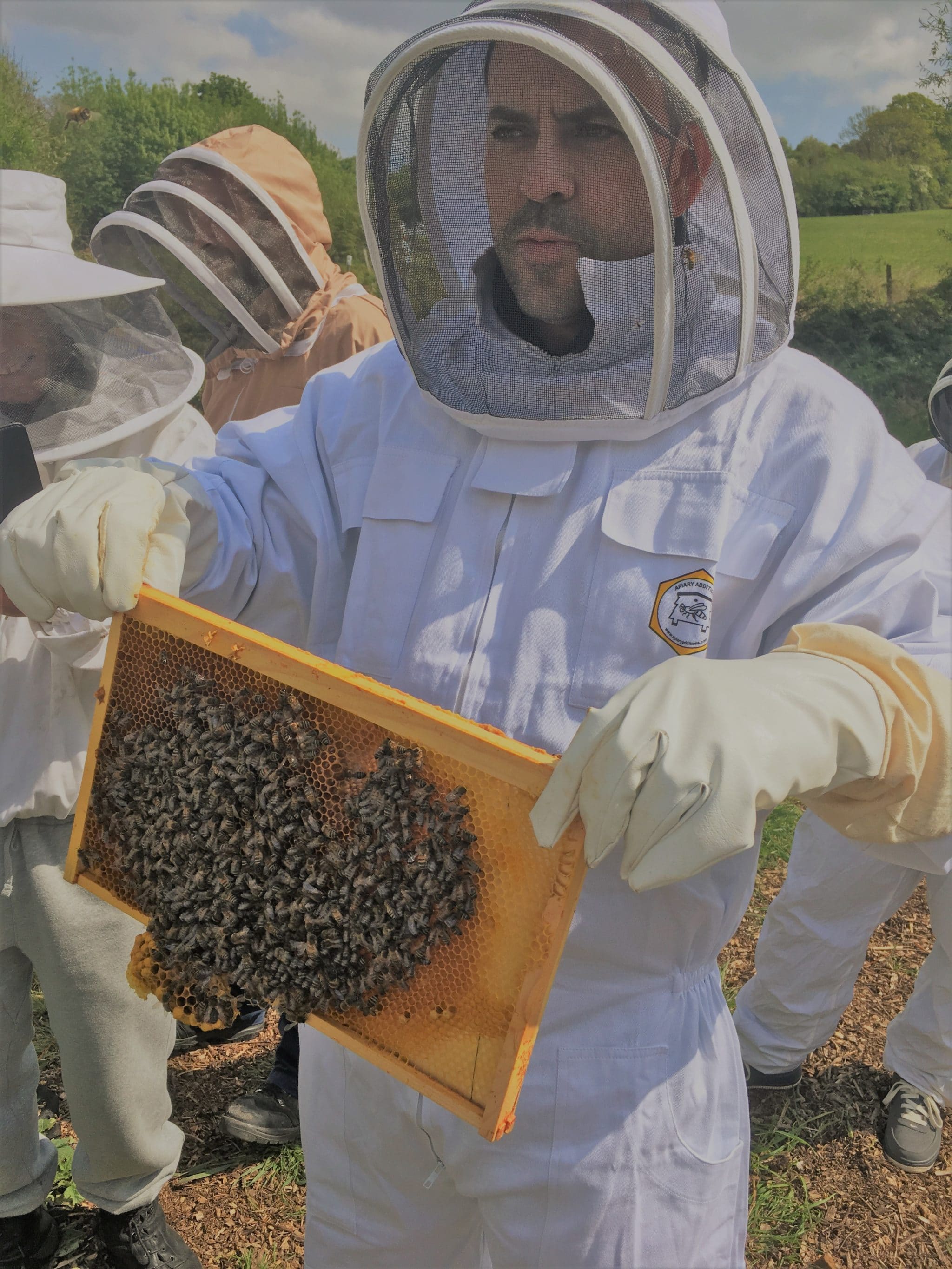 Bee Pest control