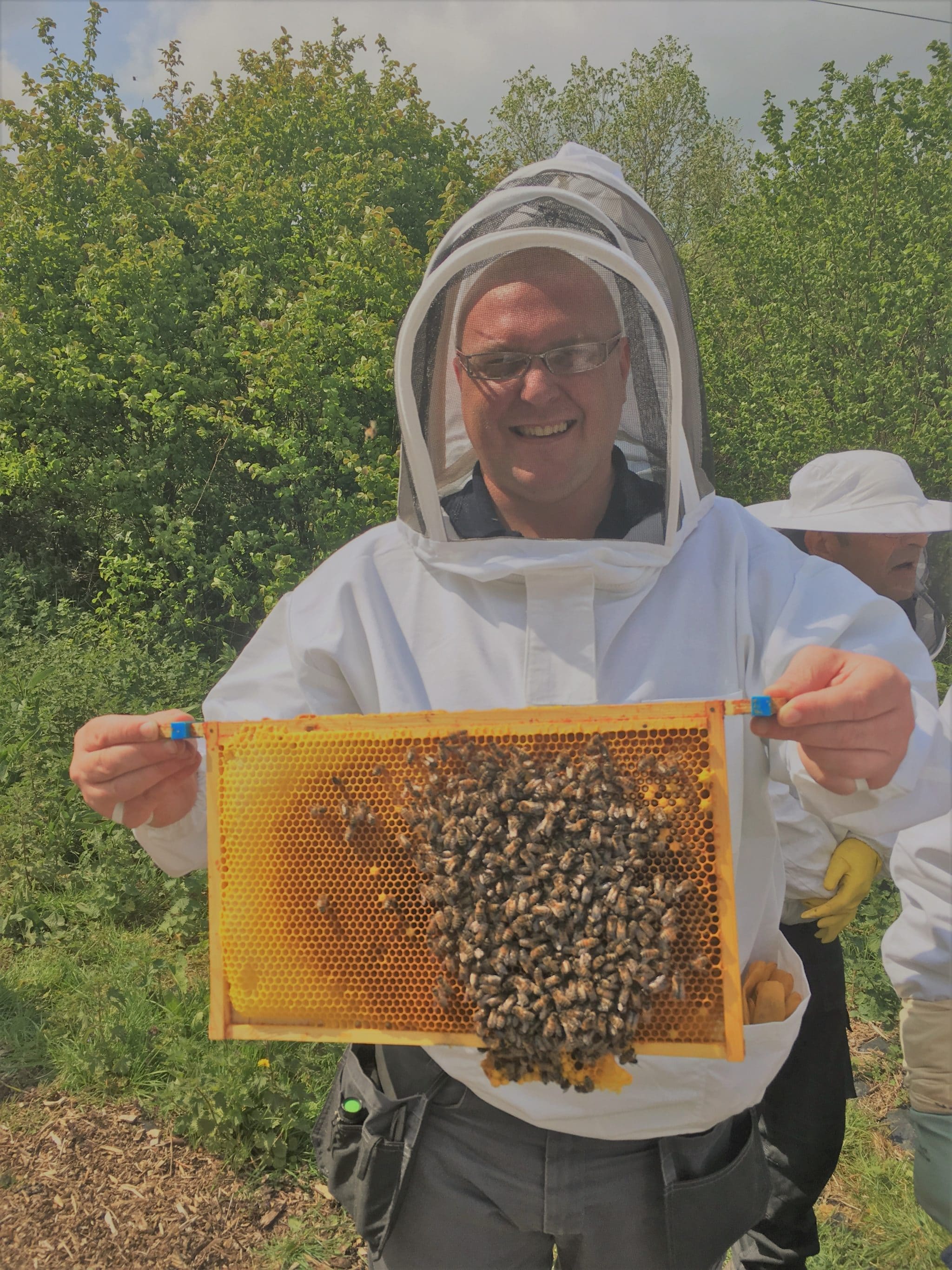 Bee Hive